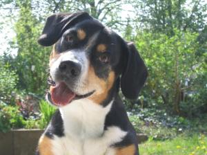 Lea Videos und Mari 007