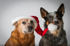 Originalbild unter: http://picthis.fotograf.de/photo/56782899-c4fc-4852-84fe-68fa0a21aa0c