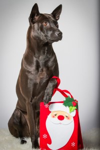 Originalbild unter: http://picthis.fotograf.de/photo/56787575-95b0-4e24-8859-3cee0a21cbb0