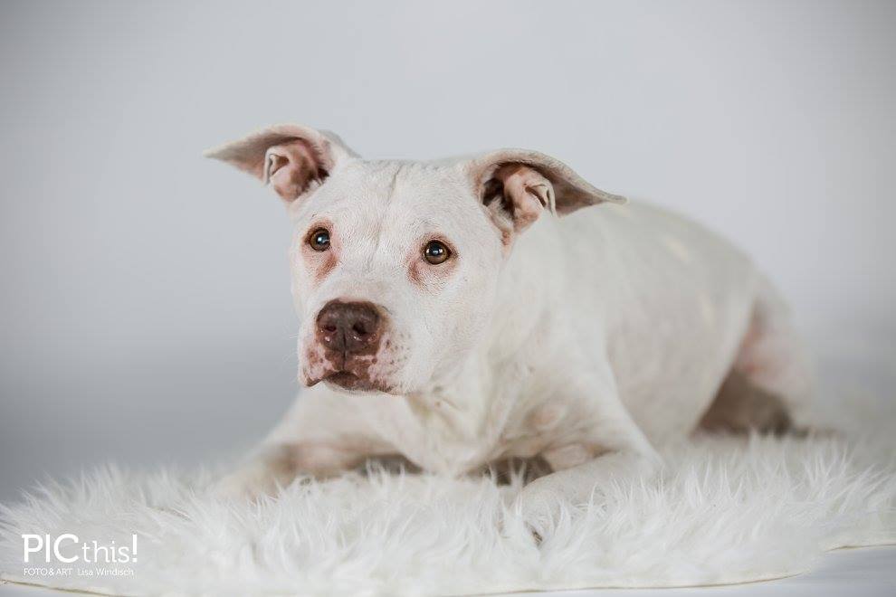 20121530_1691748441132748_4723991424771155432_o